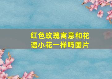 红色玫瑰寓意和花语小花一样吗图片