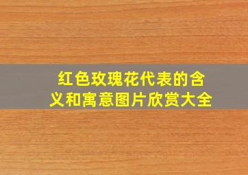 红色玫瑰花代表的含义和寓意图片欣赏大全