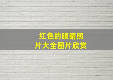 红色的眼睛照片大全图片欣赏