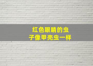 红色眼睛的虫子像甲壳虫一样