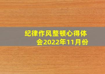 纪律作风整顿心得体会2022年11月份