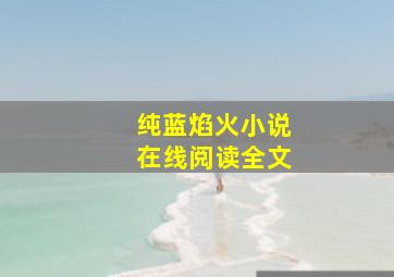 纯蓝焰火小说在线阅读全文