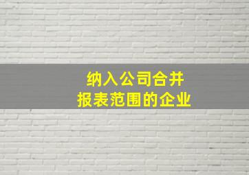 纳入公司合并报表范围的企业