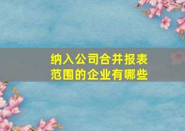 纳入公司合并报表范围的企业有哪些