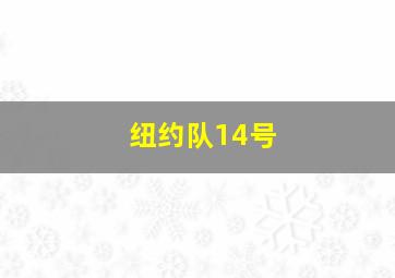 纽约队14号