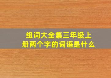 组词大全集三年级上册两个字的词语是什么