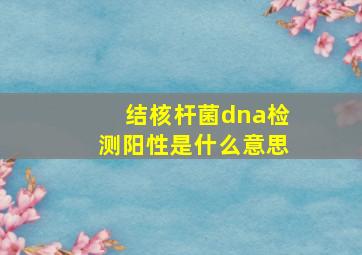 结核杆菌dna检测阳性是什么意思