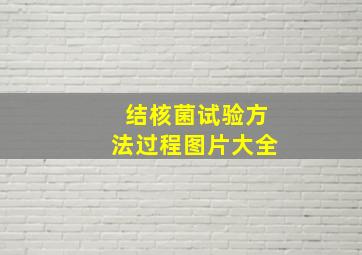 结核菌试验方法过程图片大全