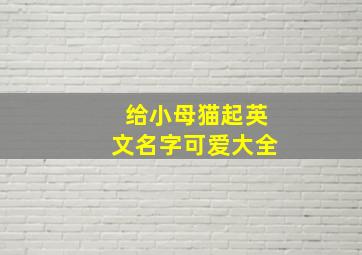 给小母猫起英文名字可爱大全