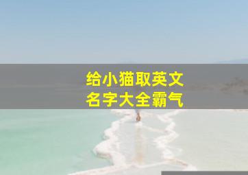 给小猫取英文名字大全霸气