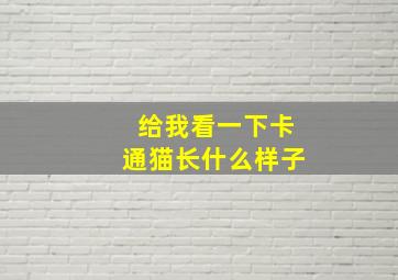 给我看一下卡通猫长什么样子