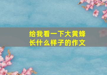 给我看一下大黄蜂长什么样子的作文