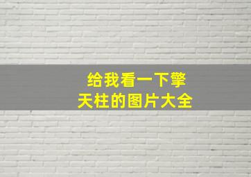 给我看一下擎天柱的图片大全