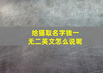 给猫取名字独一无二英文怎么说呢