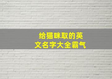 给猫咪取的英文名字大全霸气