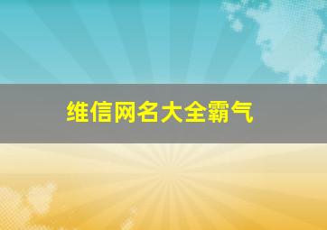 维信网名大全霸气