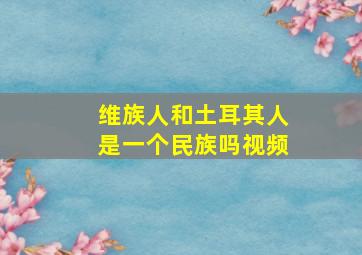 维族人和土耳其人是一个民族吗视频