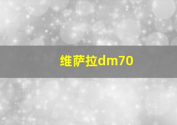 维萨拉dm70