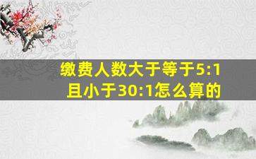 缴费人数大于等于5:1且小于30:1怎么算的