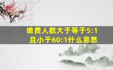 缴费人数大于等于5:1且小于60:1什么意思