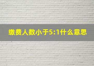 缴费人数小于5:1什么意思