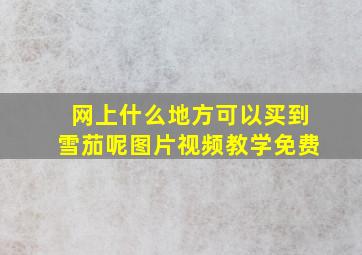 网上什么地方可以买到雪茄呢图片视频教学免费