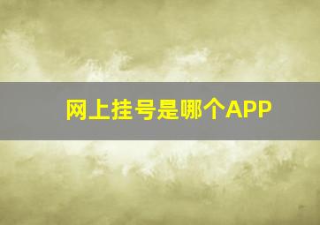 网上挂号是哪个APP