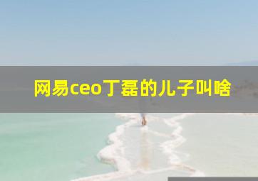 网易ceo丁磊的儿子叫啥