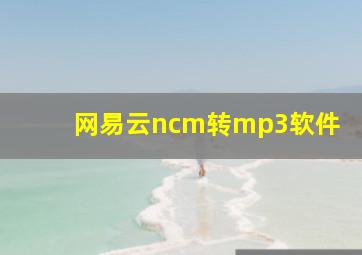 网易云ncm转mp3软件