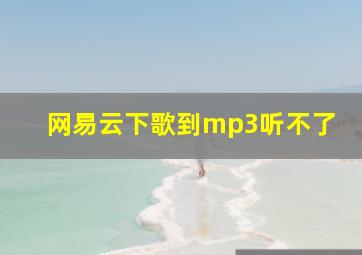 网易云下歌到mp3听不了