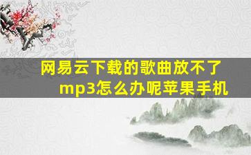 网易云下载的歌曲放不了mp3怎么办呢苹果手机