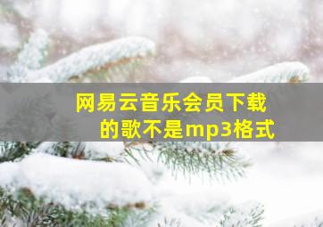 网易云音乐会员下载的歌不是mp3格式