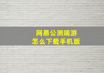 网易公测端游怎么下载手机版