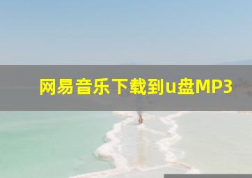 网易音乐下载到u盘MP3