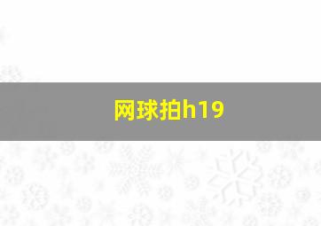 网球拍h19