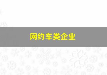 网约车类企业