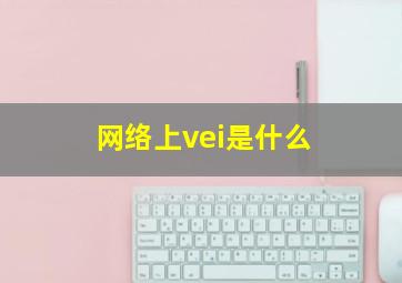 网络上vei是什么