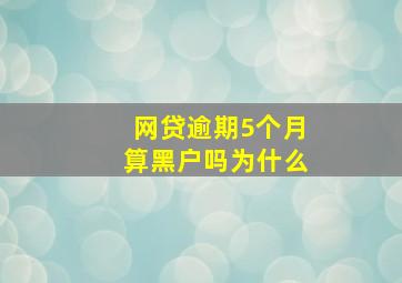 网贷逾期5个月算黑户吗为什么