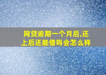 网贷逾期一个月后,还上后还能借吗会怎么样