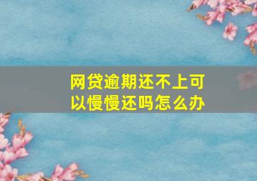 网贷逾期还不上可以慢慢还吗怎么办