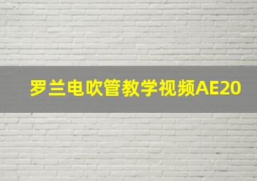 罗兰电吹管教学视频AE20