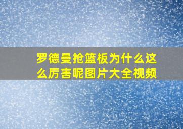 罗德曼抢篮板为什么这么厉害呢图片大全视频