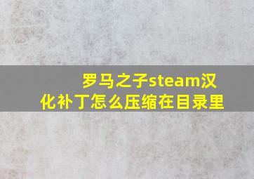 罗马之子steam汉化补丁怎么压缩在目录里