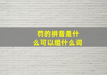 罚的拼音是什么可以组什么词