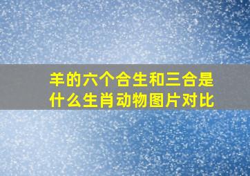 羊的六个合生和三合是什么生肖动物图片对比