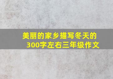 美丽的家乡描写冬天的300字左右三年级作文