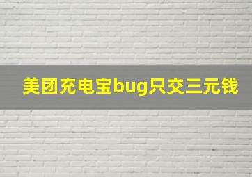 美团充电宝bug只交三元钱