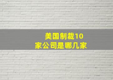 美国制裁10家公司是哪几家