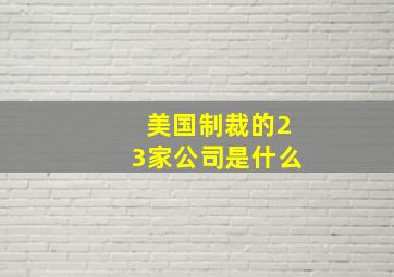 美国制裁的23家公司是什么