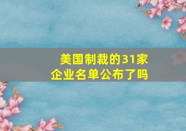 美国制裁的31家企业名单公布了吗